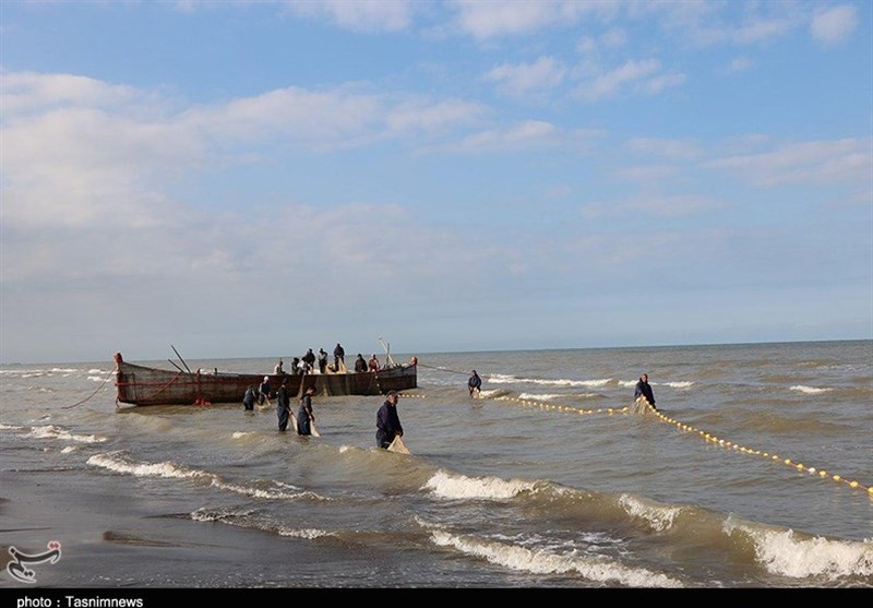 صید پره در گیلان