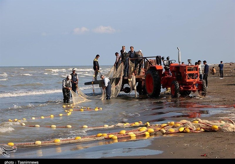 صید پره در گیلان