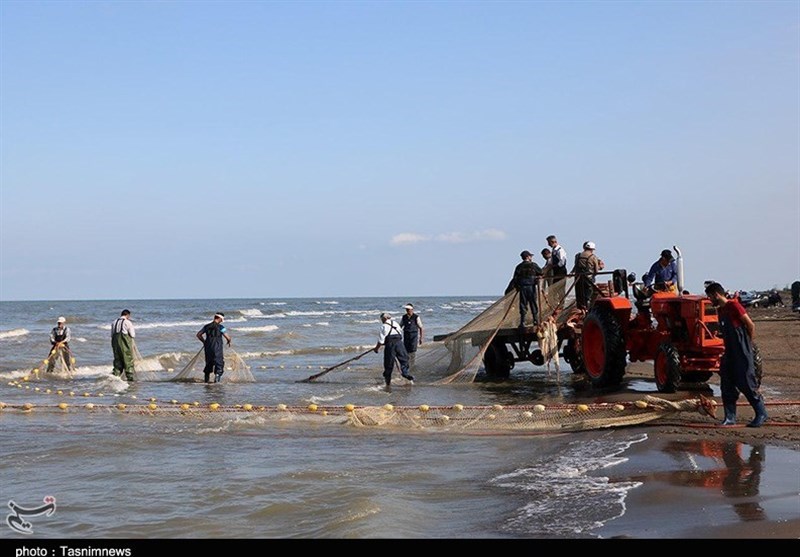 صید پره در گیلان