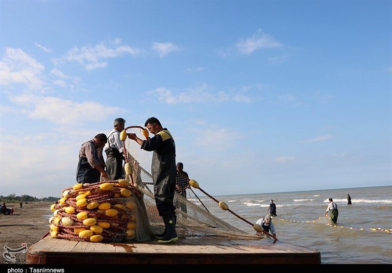 صید پره در گیلان