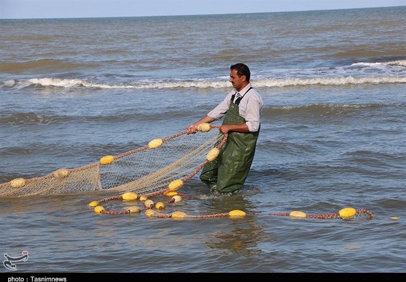 صید پره در گیلان