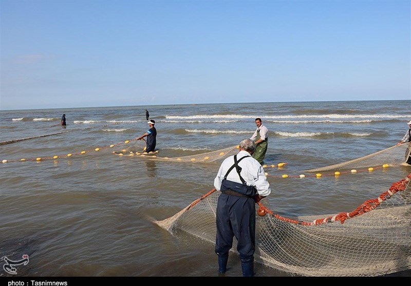 صید پره در گیلان