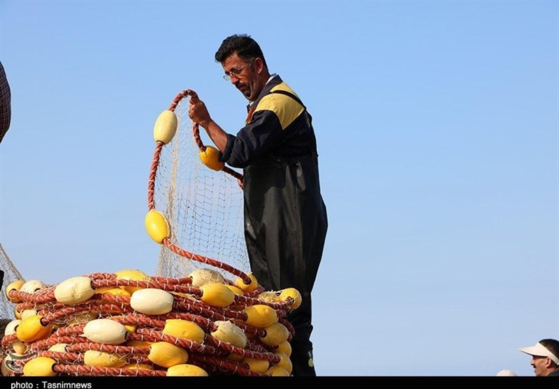صید پره در گیلان