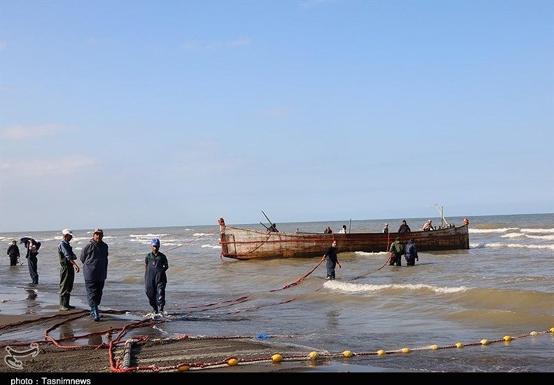 صید پره در گیلان