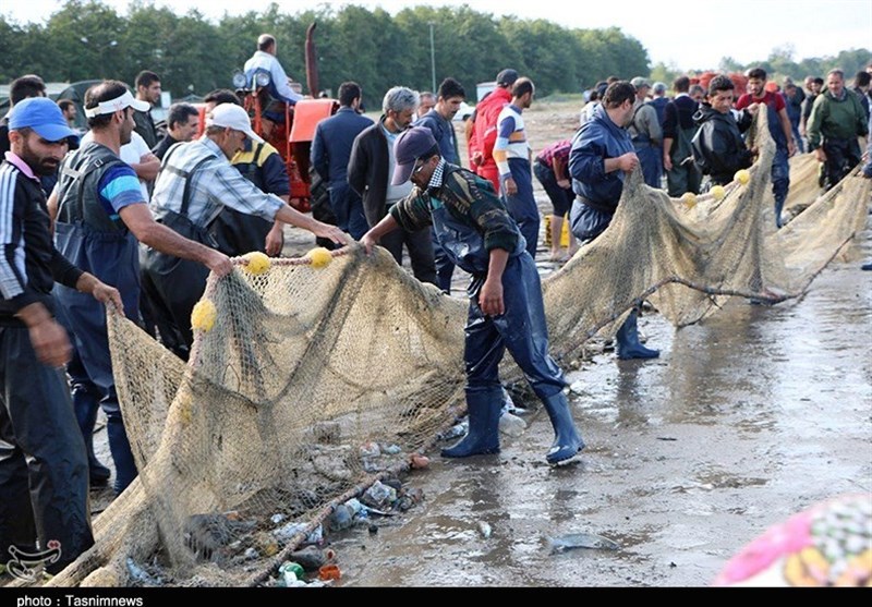 صید پره در گیلان