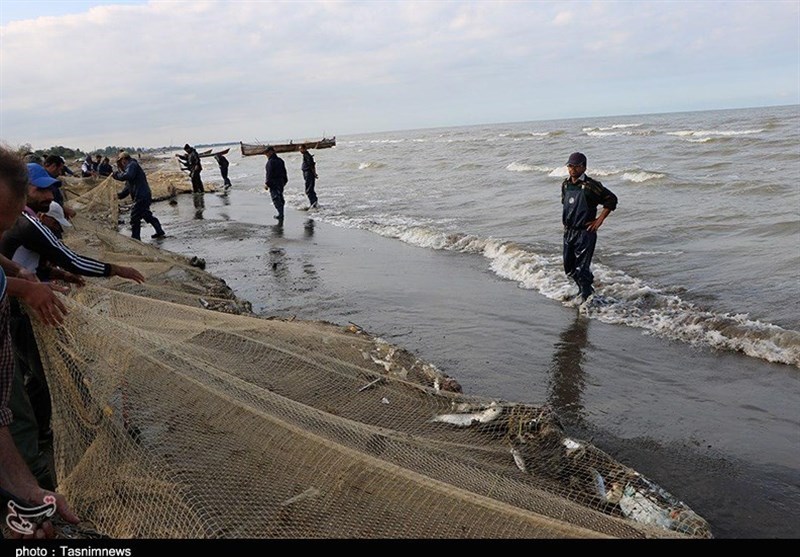 صید پره در گیلان