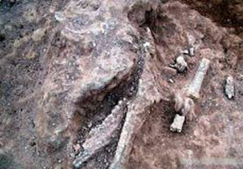 منطقه فسیلی مراغه