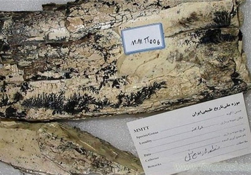 منطقه فسیلی مراغه