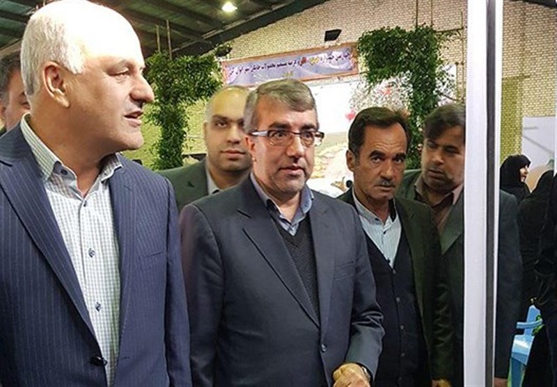 جشنواره انار/گرمسار