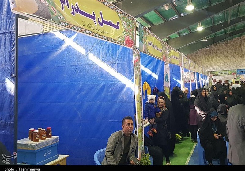 جشنواره انار/گرمسار