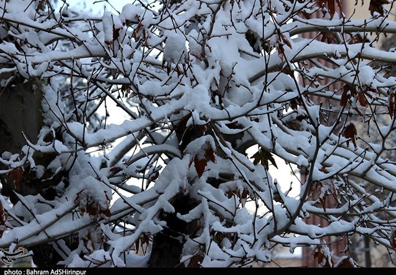 نخستین برف پاییزی اردبیل