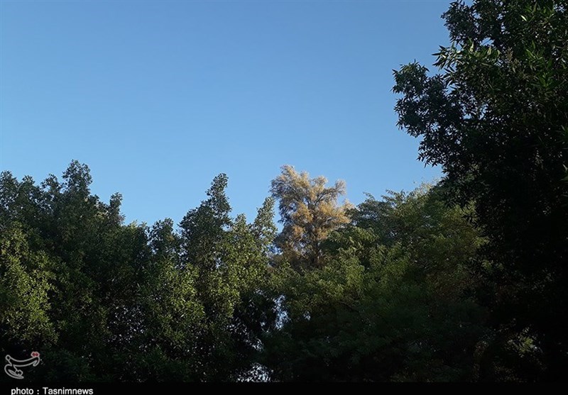 استشمام هوای پاک در اهواز