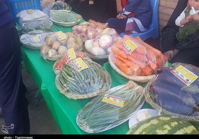 سفر معاون وزیر تعاون، کار و رفاه اجتماعی به شوش 