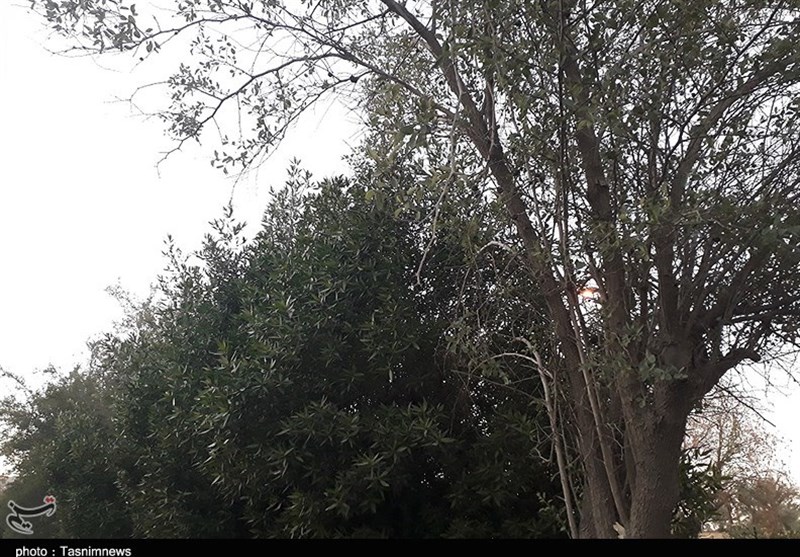 هوای دل انگیز پاییزی در اهواز