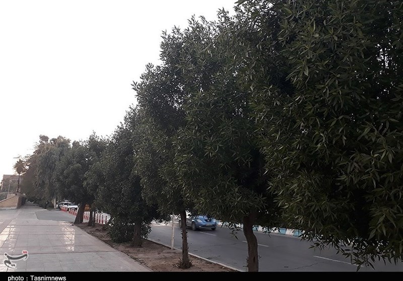 هوای دل انگیز پاییزی در اهواز