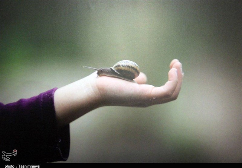 نمایشگاه عکس مدرسه طبیعت-ارومیه