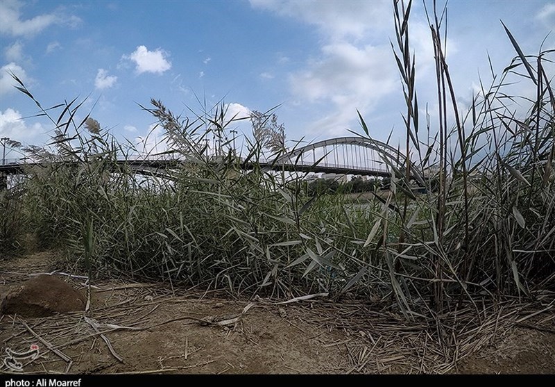 بی‌مهری‌های فراوان به رودخانه کارون