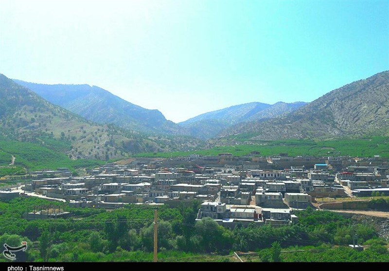 زودرس‌ترین انجیر جهان در آستانه نابودی-پلدختر