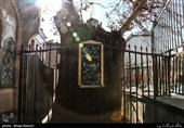 کهن سال ترین چنار تهران با عمر900 ساله