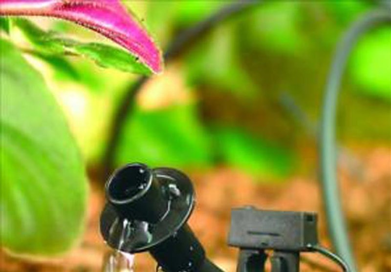 آثار خشکسالی در زمین های کشاورزی