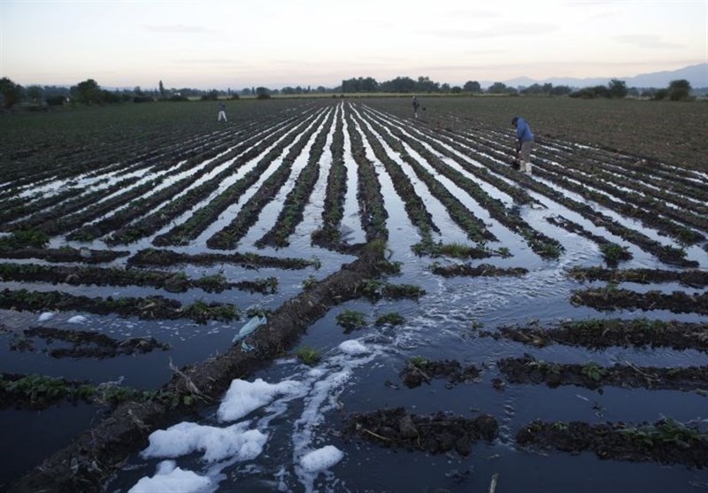 آثار خشکسالی در زمین های کشاورزی