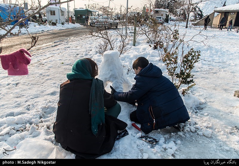 جشنواره مجسمه‌های برفی