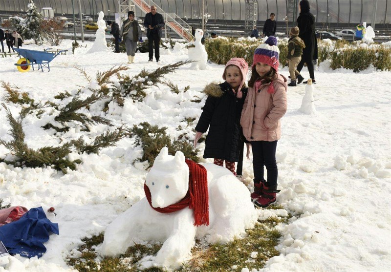 جشنواره مجسمه‌‌های برفی در بوستان پردیسان
