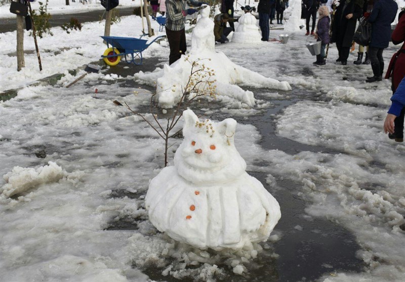 جشنواره مجسمه‌‌های برفی در بوستان پردیسان