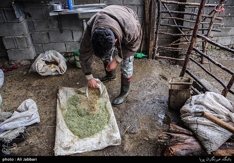 بسیج سازندگی-اقتصاد مقاومتی