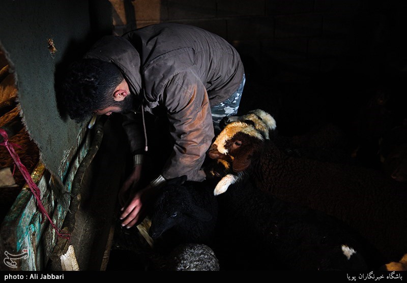 بسیج سازندگی-اقتصاد مقاومتی