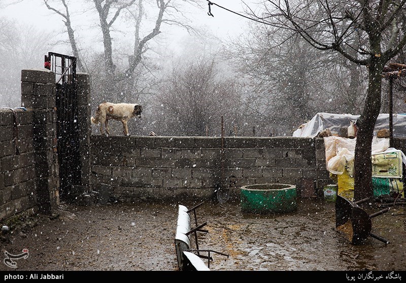 بسیج سازندگی-اقتصاد مقاومتی