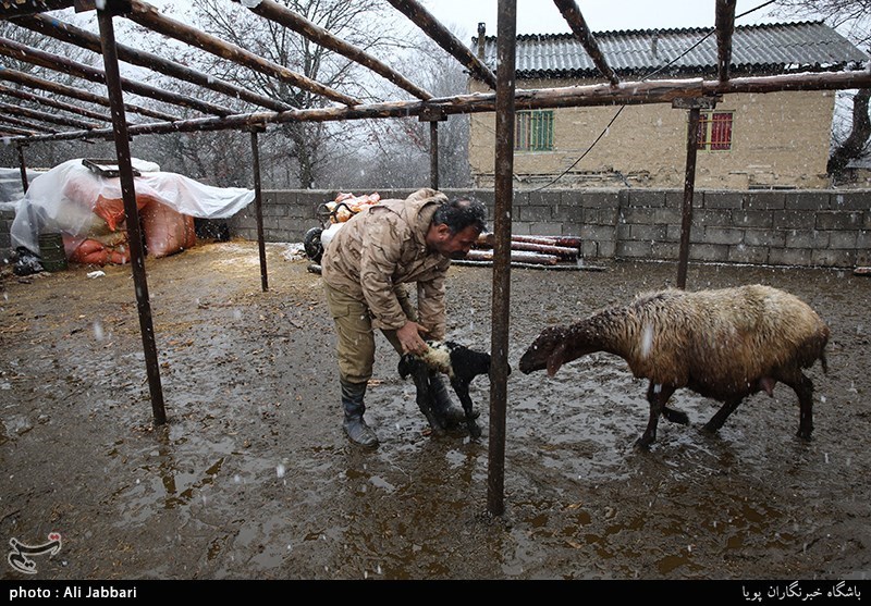بسیج سازندگی-اقتصاد مقاومتی
