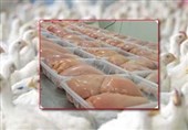 قیمت انواع گوشت مرغ قطعه بندی طعم دار بستهبندی اعلام شد