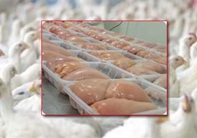 قیمت انواع گوشت مرغ قطعه بندی طعم دار بسته‌بندی اعلام شد