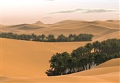 تخصیص 110 میلیارد تومان به بیابان‌زدایی در اصفهان