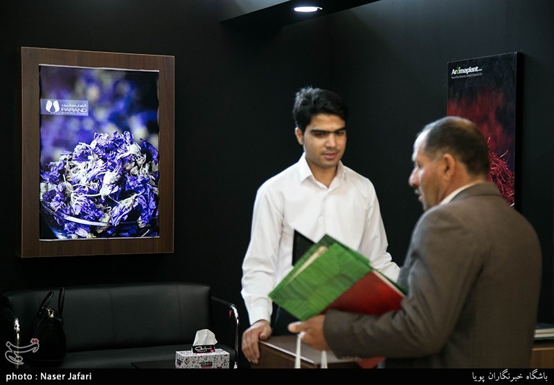 نمایشگاه گیاهان دارویی