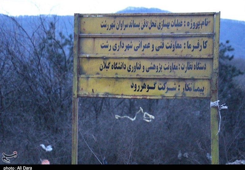 جنگل‌زدایی , بحران های محیط زیست , 