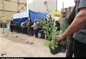 مسیر سبز ولایت در رگ‌های دیار آفتاب؛ توزیع گسترده نهال در اراک