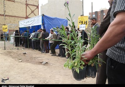 مسیر سبز ولایت در رگ‌های دیار آفتاب؛ توزیع گسترده نهال در اراک