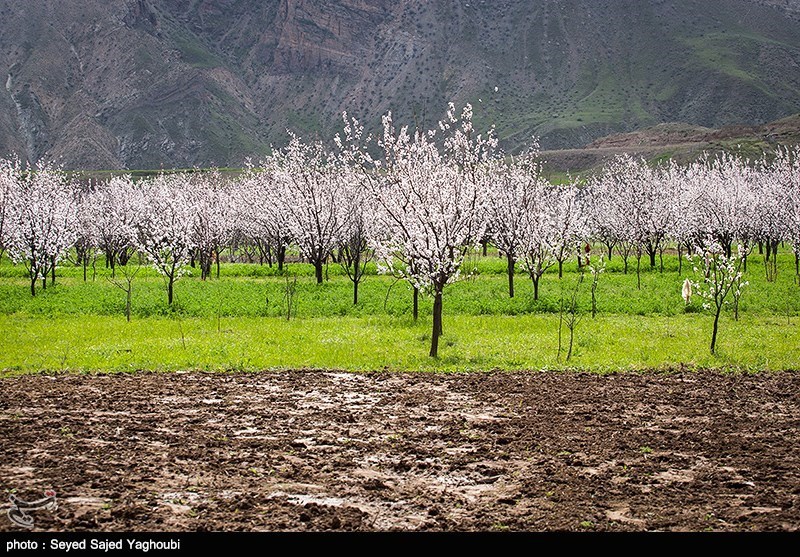 الربیع بطبیعته الخلابة فی اردیبل