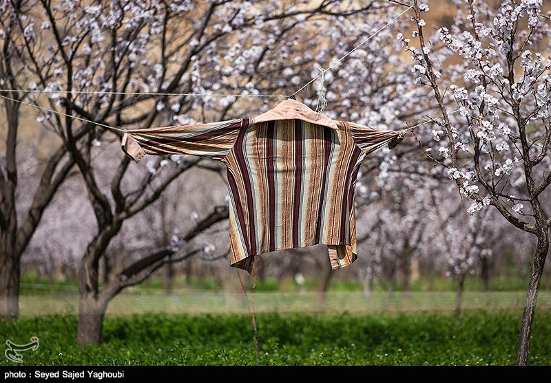 الربیع بطبیعته الخلابة فی اردیبل