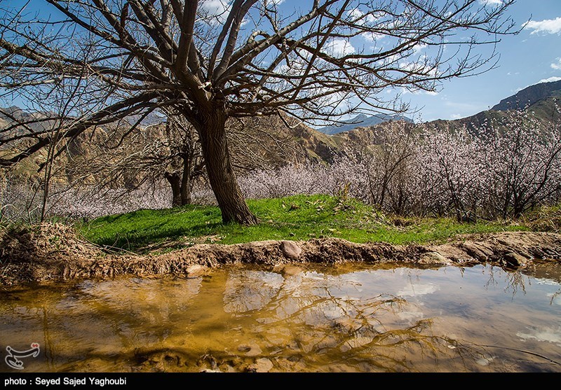 الربیع بطبیعته الخلابة فی اردیبل