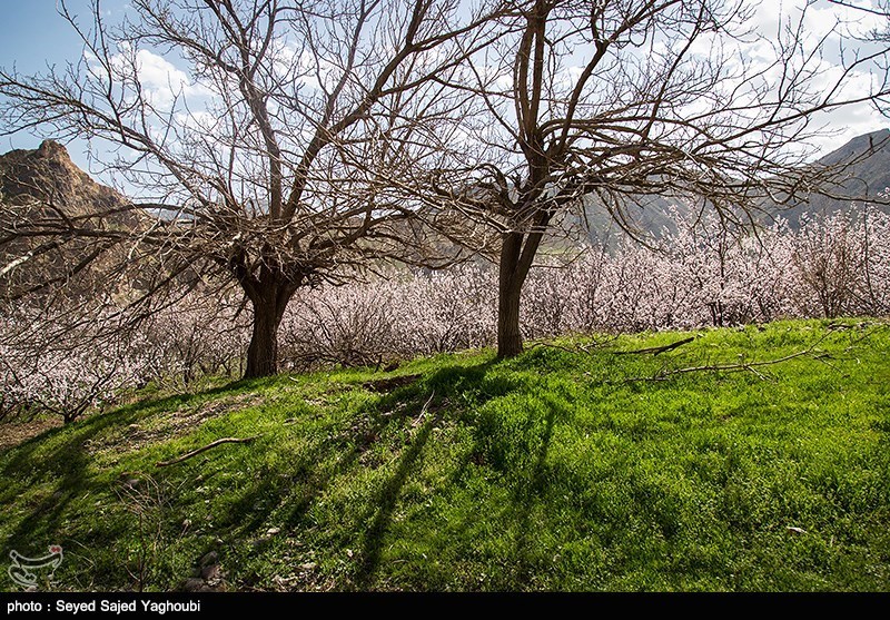 الربیع بطبیعته الخلابة فی اردیبل