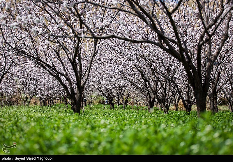 الربیع بطبیعته الخلابة فی اردیبل