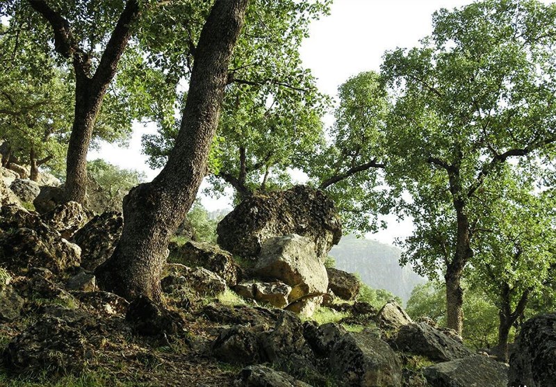 مستند , سینما , ایرانگردی | ایران گردی , عید نوروز , 