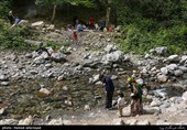 مسافران نوروزی در جنگل گلستان