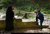 مسافران نوروزی در جنگل گلستان