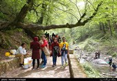 مسافران نوروزی در جنگل گلستان