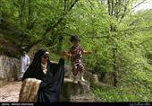 مسافران نوروزی در جنگل گلستان