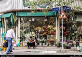 محله های تهران- خیابان جمالزاده